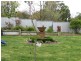 Narrandera NSW 2700