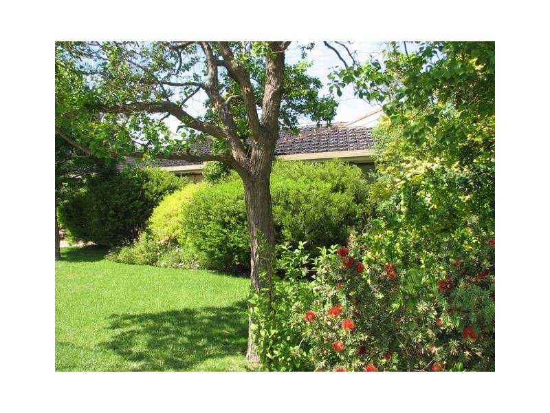 Narrandera NSW 2700
