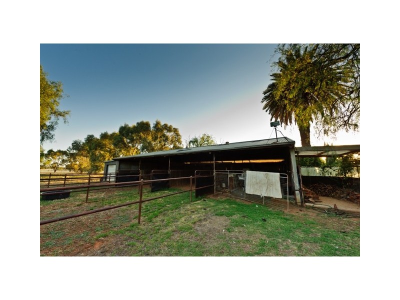 Narrandera NSW 2700