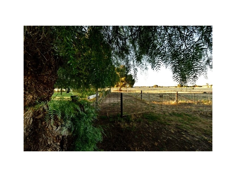Narrandera NSW 2700