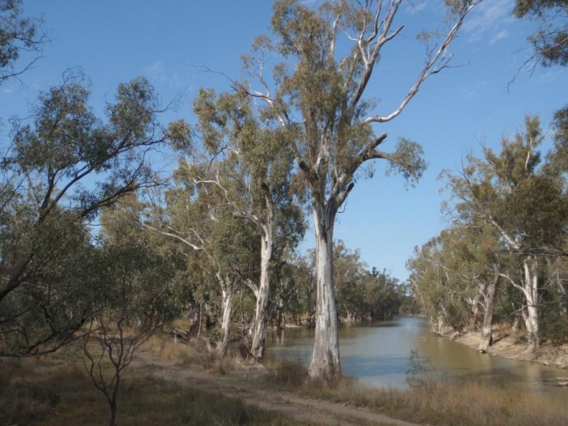 Lot 2 North Wakool Estates, Wakool NSW 2710