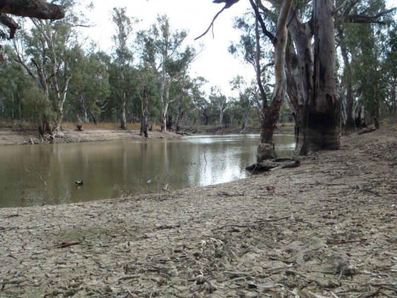 Lot 2 North Wakool Estates, Wakool NSW 2710