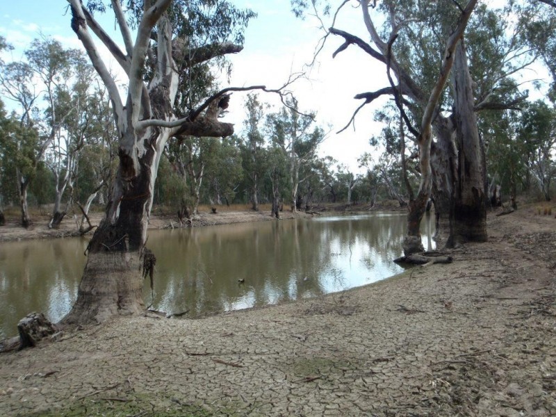Lot 2 North Wakool Estates, Wakool NSW 2710