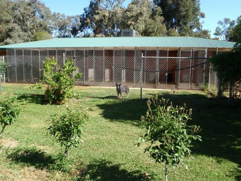 Finley NSW 2713