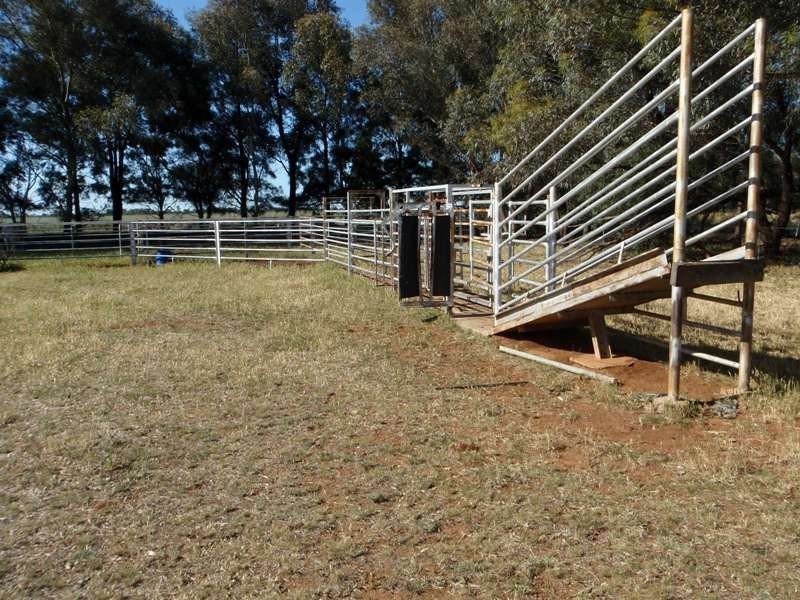 Finley NSW 2713