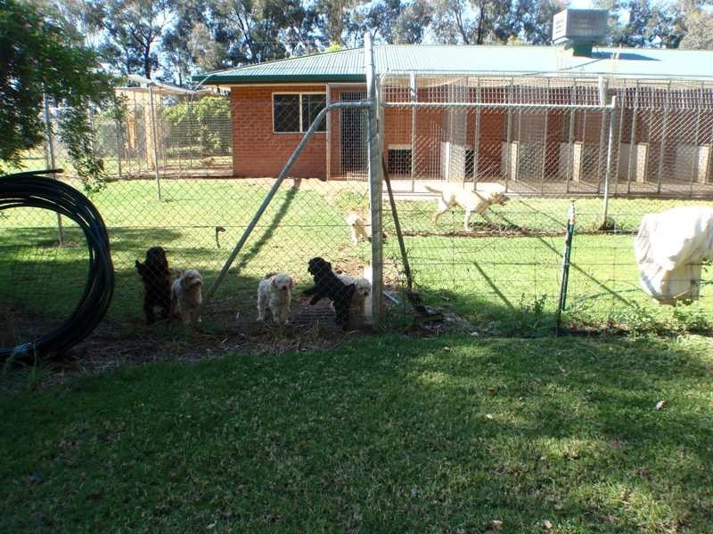 Finley NSW 2713