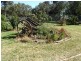 Finley NSW 2713