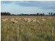 Mathoura NSW 2710