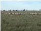 Mathoura NSW 2710