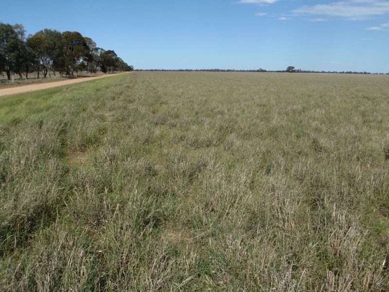 Mathoura NSW 2710