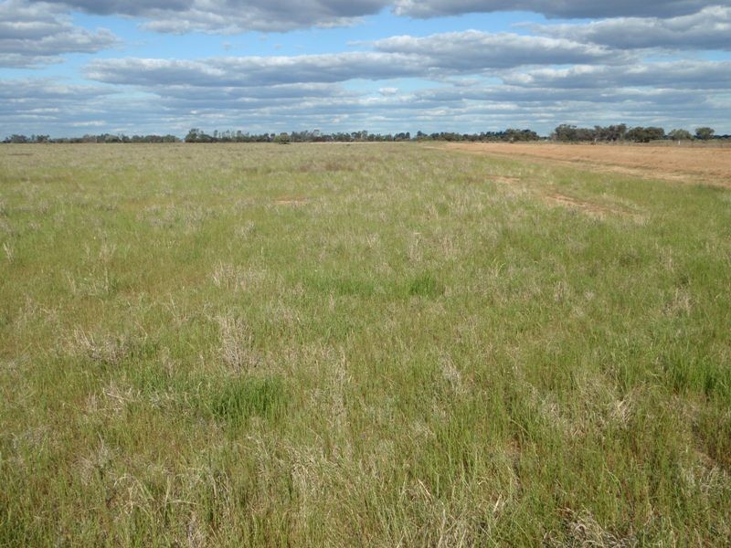 1 Hogans Lane, Deniliquin NSW 2710