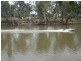 118 Boggy Creek Road, Deniliquin NSW 2710