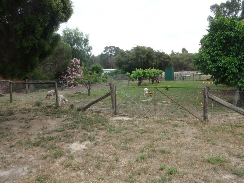 118 Boggy Creek Road, Deniliquin NSW 2710