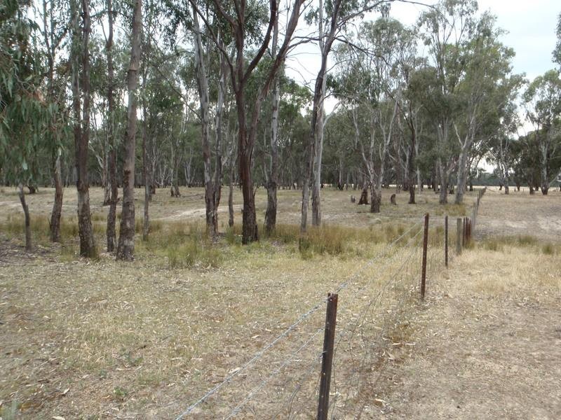 118 Boggy Creek Road, Deniliquin NSW 2710