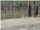 118 Boggy Creek Road, Deniliquin NSW 2710