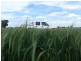 Barham NSW 2732