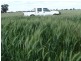 Barham NSW 2732