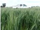 Barham NSW 2732