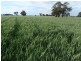 Barham NSW 2732
