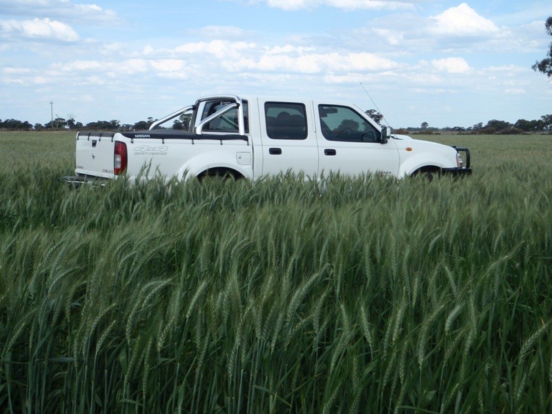 Barham NSW 2732
