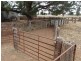 Berrigan NSW 2712