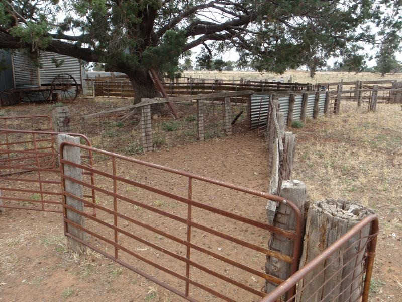 Berrigan NSW 2712