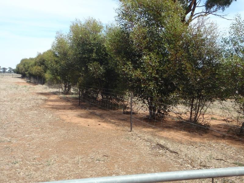 1 Walliston Road, Deniliquin NSW 2710