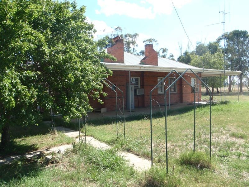 Berrigan NSW 2712