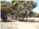 Finley NSW 2713