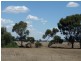 Finley NSW 2713