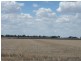 Finley NSW 2713