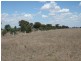 Finley NSW 2713