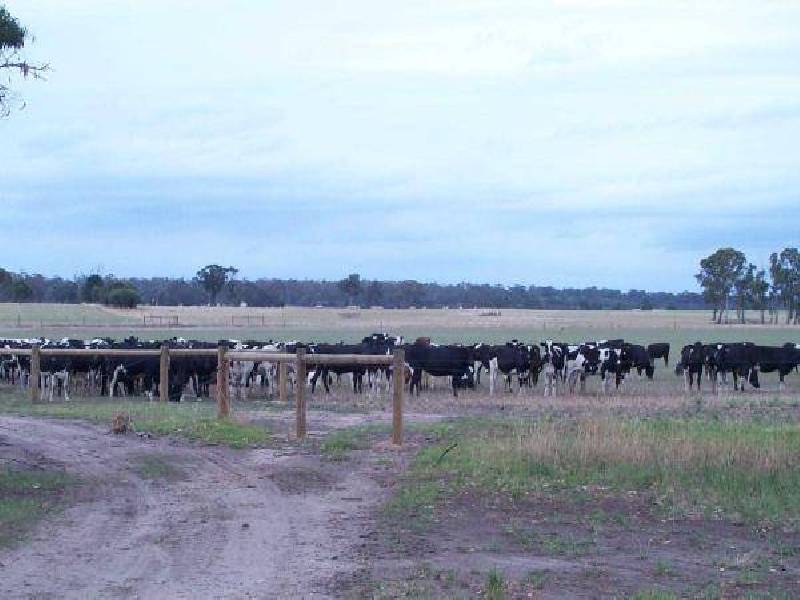 TURNERS ROAD, Meerlieu VIC 3862