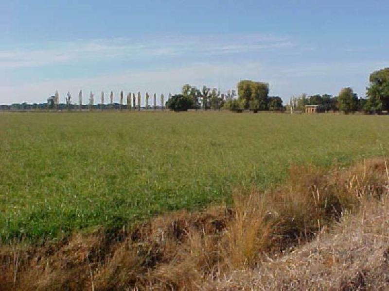 MCEWEN ROAD, Kyabram VIC 3620
