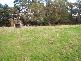 1045 NERRENA ROAD, Nerrena VIC 3953