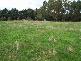 1045 NERRENA ROAD, Nerrena VIC 3953