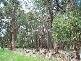 1045 NERRENA ROAD, Nerrena VIC 3953