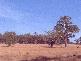 Kyneton VIC 3444