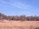 Kyneton VIC 3444