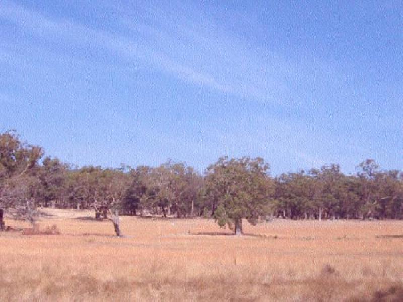 Kyneton VIC 3444