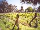 Dunolly VIC 3472