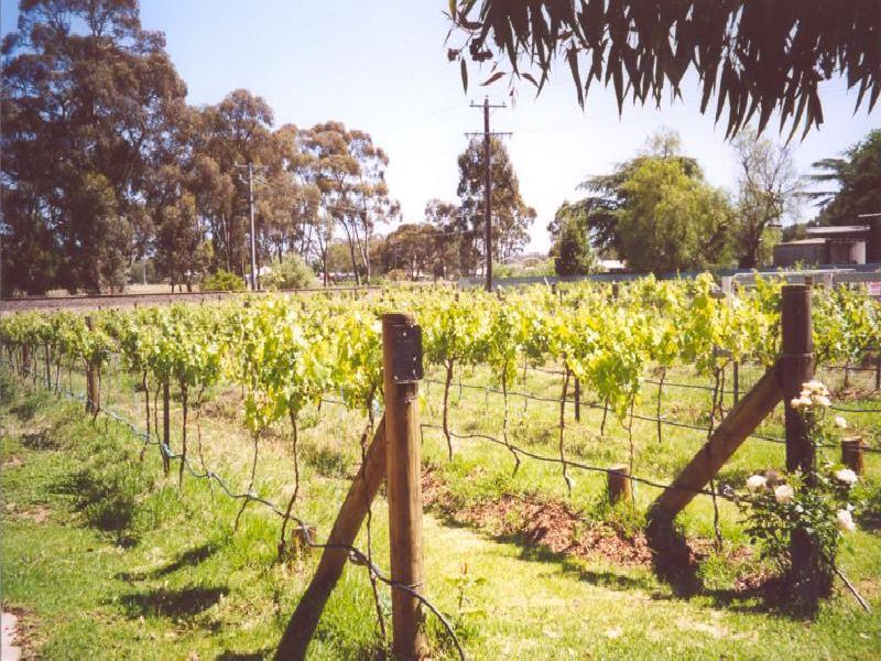 Dunolly VIC 3472