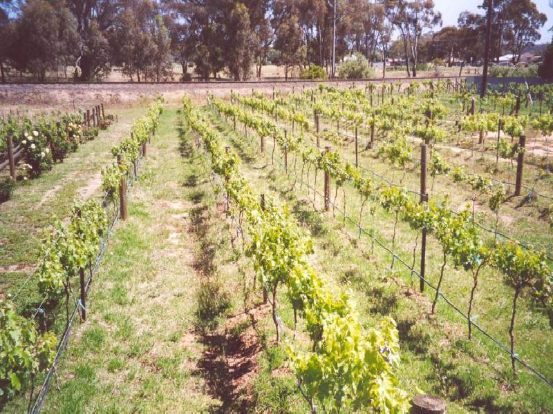 Dunolly VIC 3472