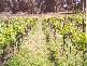 Dunolly VIC 3472