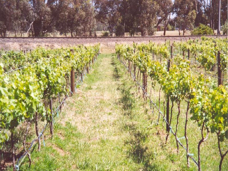 Dunolly VIC 3472