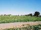 Pine Lodge VIC 3631