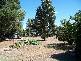 Edenhope VIC 3318