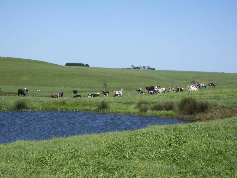 Crossley VIC 3283