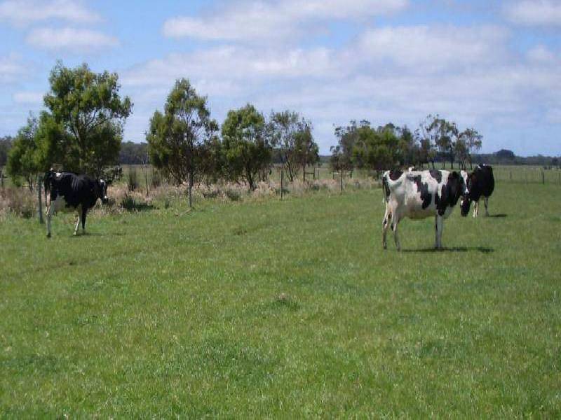 GORAE ROAD, Portland VIC 3305