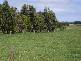 GORAE ROAD, Portland VIC 3305